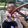 Agripa chikomba