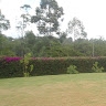 Esther Muthoni