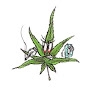 WEEDMANE  