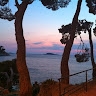 Nello Campisi