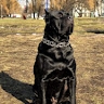Propan Butanov