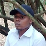 J Machariou.