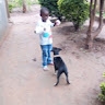 dwaya bright