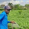 Avabo Michael