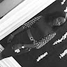 Thelma Assah-Anim