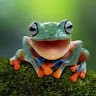 wisteria frog