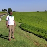 Daniel Ngari