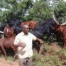 Charles Mbuthia