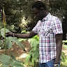 amadou faye