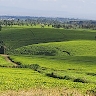 Shadrack Waithaka