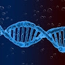 FAM DNA