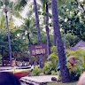 Paschalis  
