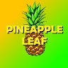 Pineapple Leaf