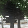 Lyndon St Luce