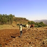abineh tilahun