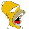 Ints Brunenieks