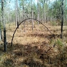 Black Creek Armory