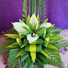 Hellen Irisitapa'a Elifiu