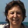 carmen lewitus