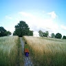 Lise Lautenbacher