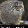 Сергей Паяльник