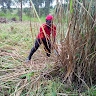 joab wamani