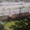Elif Kızılırmak