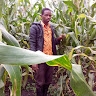 JEAN PAUL MWIZERWA