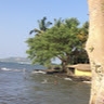 NICHOLAS ODHIAMBO