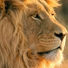 Maaz Khan