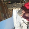 Valentyna Bas