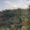 Ntalala Mutura