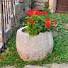 Marta Andjelić Saridžić