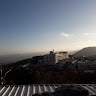 שרי מילר