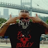 Tek Bully
