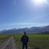 Hadi Hosseinzadeh