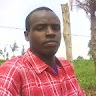 kirwa vitalis