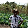 Ngolwe Sikazwe