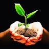 Financial Freedom Solutions