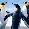 ac dc