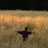 Jacques Martin