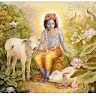 SRIDHARA B C