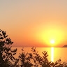 ΔΕΣΠΟΙΝΑ ΖΑΧΑΡΙΟΥΔΑΚΗ