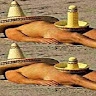 Λαμπρινή Γκότση