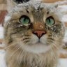 Vasiliy 