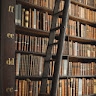 Elementary Librarian