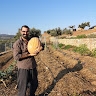 Ioannis Samaras