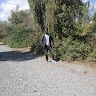 Tesfaye Chekole