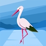 racheal rael