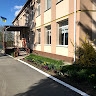 Бохоницька Школа
